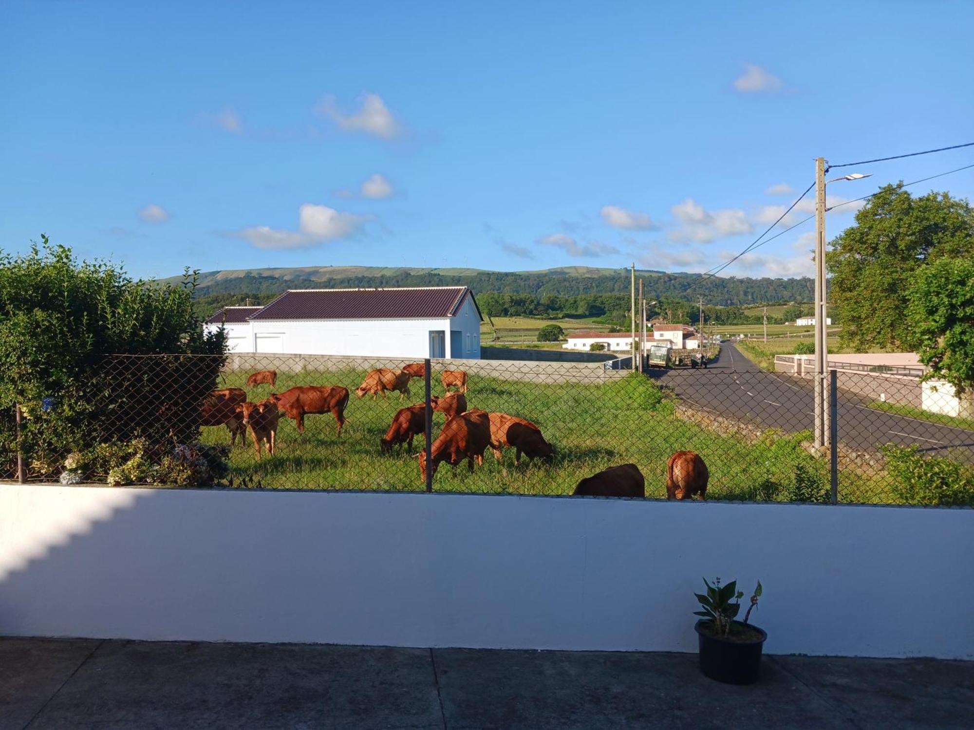O Postigo Apartment Praia da Vitória Екстериор снимка